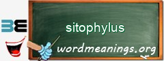 WordMeaning blackboard for sitophylus